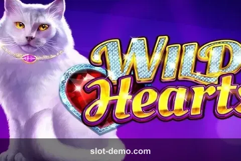 Wild Hearts cover