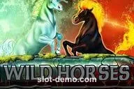 Wild Horses cover