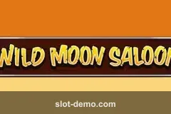 Wild Moon Saloon cover