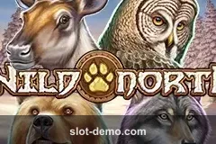 Wild North cover