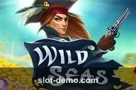 Wild Seas cover