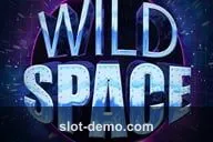Wild Space slot