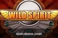 Wild Spirit slot