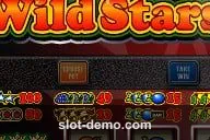 Wild Stars cover