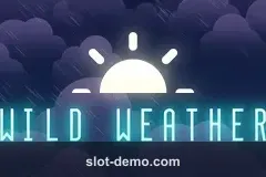 Wild Weather cover