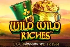 Wild Wild Riches cover