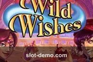 Wild Wishes slot