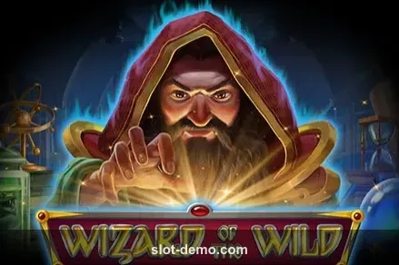 Wizard of the Wild cover