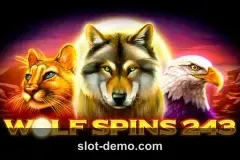 Wolf Spins 243 cover