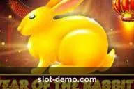Year of the Rabbit cover